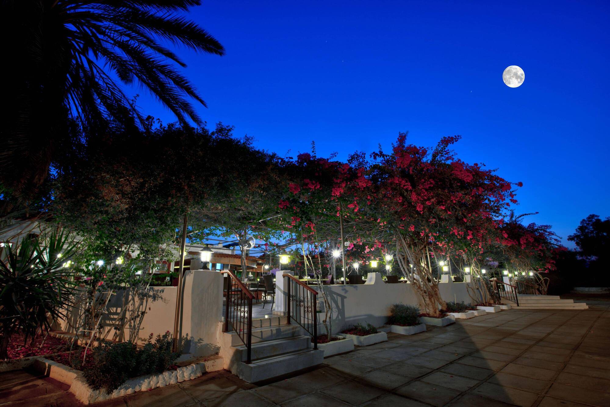 Merit Cyprus Gardens Holiday 法马古斯塔 外观 照片